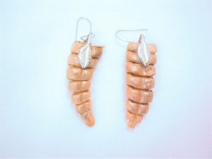 Real Rattlesnake Rattle Earrings