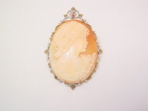 Huge Mattia Carved Real Shell Cameo Pin