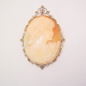 Huge Mattia Carved Real Shell Cameo Pin