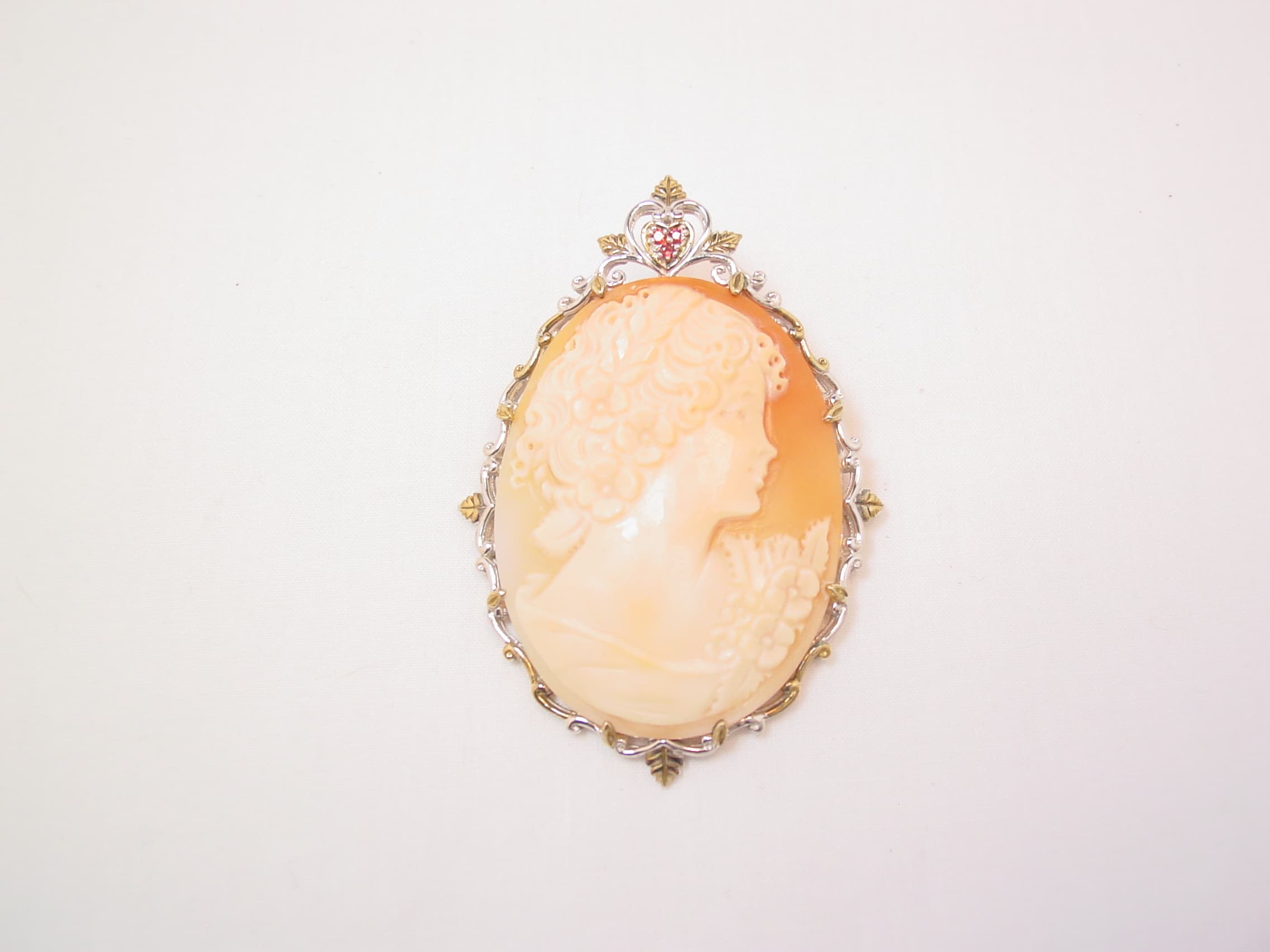 Huge Mattia Carved Real Shell Cameo Pin - Image 4
