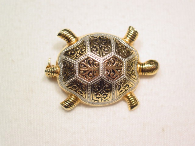 Spanish Turtle Pin