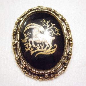 Capricorn Black Cabochon Pin
