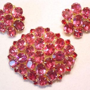 Vibrant Pink Oxford Pin and Earrings Set